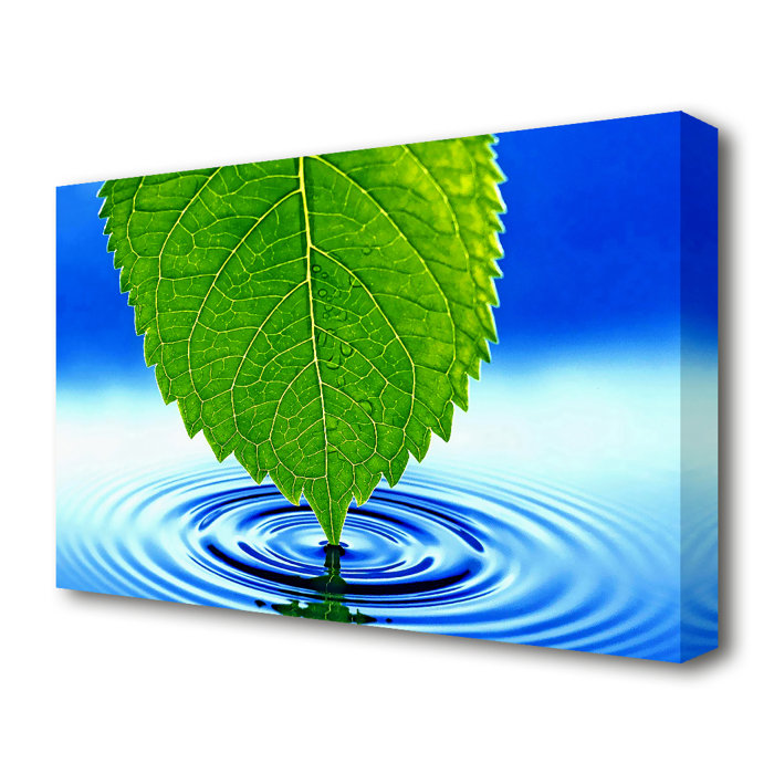 East Urban Home Leinwandbild Grünes Blatt im sich kräuselnden Wasser